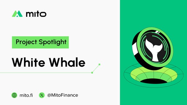 Mito Vault Spotlight: White Whale